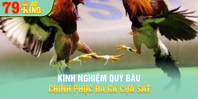 Kinh nghiệm quý báu chinh phục đá gà cựa sắt